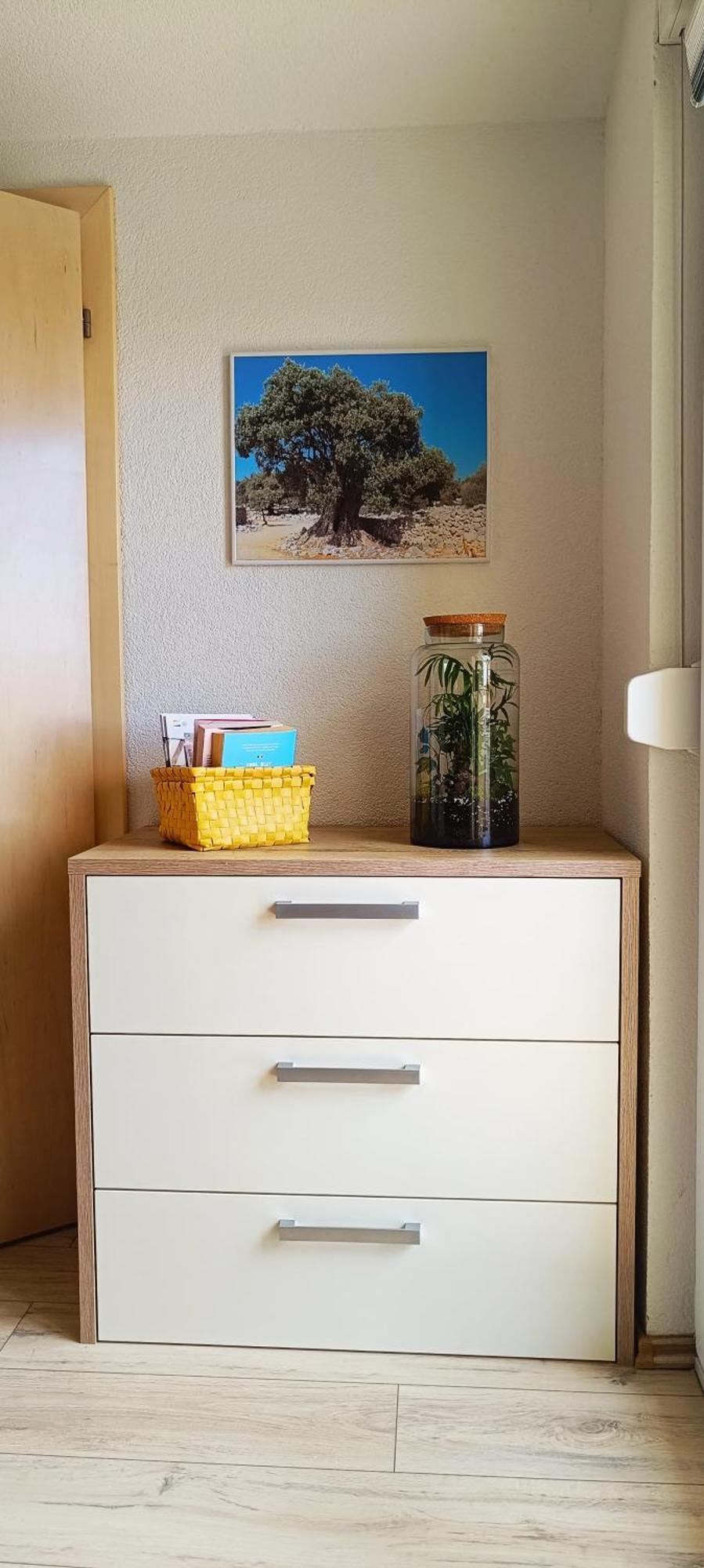 Apartmani Verde 扎达尔 外观 照片