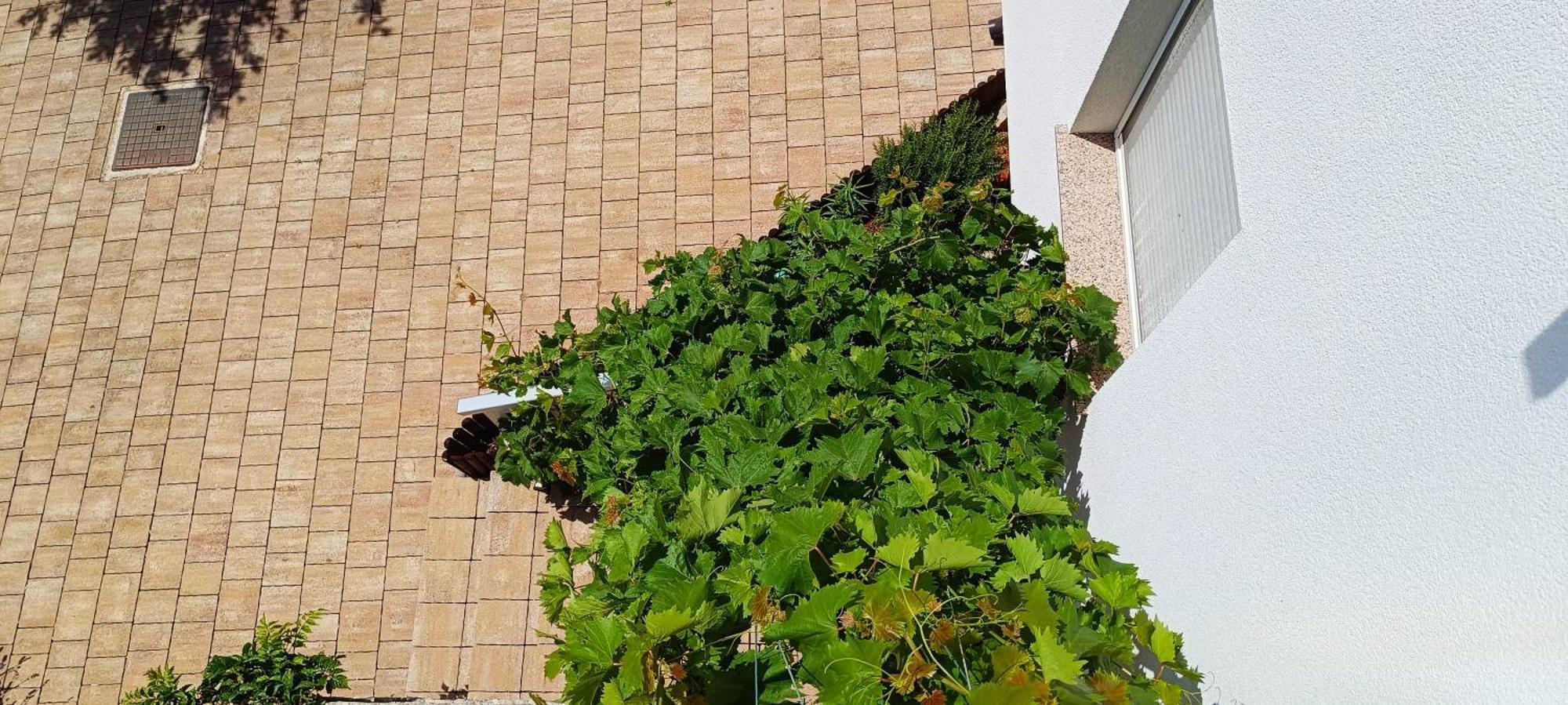 Apartmani Verde 扎达尔 外观 照片
